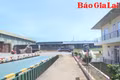 Doanh nghiệp xuất khẩu nông sản tích cực tìm kiếm thị trường mới