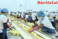 Giá trị mang lại từ chuỗi liên kết sản xuất nông nghiệp 