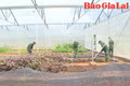 Đồn Biên phòng Cửa khẩu Quốc tế Lệ Thanh: Sôi nổi các hoạt động thi đua chào mừng Kỷ niệm 50 năm ngày truyền thống đơn vị