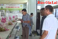 Nâng cao hiệu quả hoạt động cho hợp tác xã