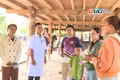Gia Lai duy trì thành quả loại trừ bệnh sốt rét 