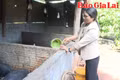 Nguồn vốn tín dụng chính sách tại Đak Đoa-Bệ đỡ cho an sinh và phát triển bền vững 