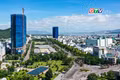 Điểm tin trưa: Chủ tịch UBND tỉnh làm việc về định hướng phát triển các phường, xã khu vực Quy Nhơn