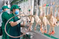 Toàn cảnh Gia Lai 24h: Hỗ trợ đến 5 tỷ đồng phát triển cơ sở giết mổ tập trung