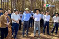 Điểm tin trưa: Chủ tịch UBND tỉnh Phạm Anh Tuấn kiểm tra loạt dự án đầu tư tại phía Tây tỉnh