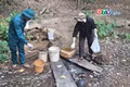 Điểm tin trưa: Gia Lai tăng cường giám sát, phòng chống bệnh Whitmore