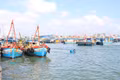 Gia Lai không có tàu cá nằm trong khu vực nguy hiểm của bão số 1