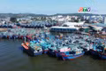 Điểm tin trưa: Phó Bí thư Tỉnh ủy Châu Ngọc Tuấn kiểm tra Cảng cá Tam Quan