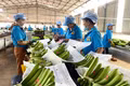 Lơ Pang mở rộng không gian phát triển từ lợi thế đất đai