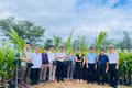 Gia Lai trao 11.100 cây dừa giống, tiếp sức “Xanh hóa Trường Sa”