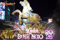 Người dân TP Hồ Chí Minh nô nức du Xuân trong không gian đường hoa Nguyễn Huệ