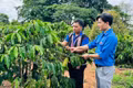 Tiếp sức thanh niên dân tộc thiểu số lập nghiệp