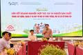 Thúc đẩy liên kết đa bên trong xây dựng, quản lý và duy trì mã số vùng trồng, mã số cơ sở đóng gói