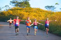 Runner tham gia giải chạy Gia Lai City được chiêm ngưỡng những cảnh quan tuyệt đẹp trên cung đường chạy. Ảnh: Gia Lai City Trail