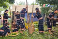 Điểm tin trưa: Biến vốn quý thành lợi thế - Gia Lai làm du lịch từ di sản