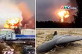 Tin thế giới 11h ngày 26-8: UAV Ukraine phá hủy cơ sở xuất khẩu khí đốt tự nhiên quan trọng của Nga