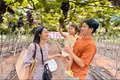 Từ vườn nho hữu cơ đến điểm hẹn du lịch nông nghiệp