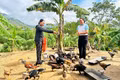Hỗ trợ phụ nữ dân tộc thiểu số phát triển kinh tế
