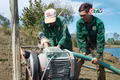 Ia Grai chủ động ứng phó thiếu nước tưới cây trồng