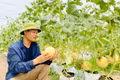 Chứng nhận VietGAP: “Bệ phóng” xây dựng nông sản sạch