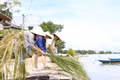 Khách Tây thích thú chẻ cói, dệt chiếu ở Hội An
