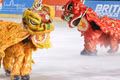 Loạt ảnh châu Á rộn ràng chờ đón năm con rắn Ất Tỵ