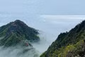 Săn mây Tà Xùa, trekking khu rừng phủ rêu ma mị như trong phim