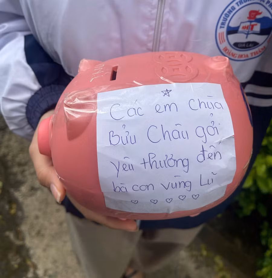 con-heo-dat-cua-9-em-hoc-sinh-mo-coi-o-chua-buu-chau.jpg