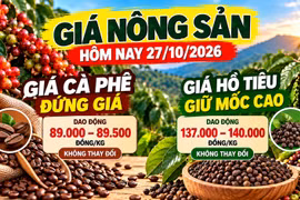Giá nông sản hôm nay 27/10: Cà phê đứng giá dưới 90.000 đồng/kg