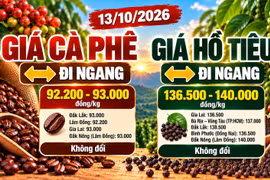 Giá cà phê, hồ tiêu hôm nay 13/10: Cà phê chững lại, hồ tiêu giữ vùng giá cao