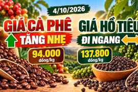 Giá cà phê, hồ tiêu hôm nay 4/10: Cà phê tăng, hồ tiêu đứng giá
