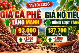 Giá cà phê, hồ tiêu hôm nay 11/10: Hai mặt hàng cùng bật tăng