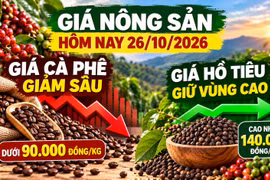 Giá nông sản hôm nay 26/10: Cà phê chịu sức ép mạnh, hồ tiêu giữ vùng giá cao