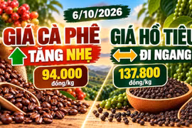 Giá cà phê, hồ tiêu hôm nay 6/10: Cà phê tăng, tiêu đi ngang