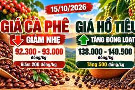 Giá cà phê, hồ tiêu hôm nay 15/10: Cà phê giảm, hồ tiêu đồng loạt tăng