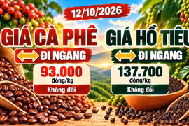 Giá cà phê, hồ tiêu hôm nay 12/10: Hai mặt hàng cùng đi ngang
