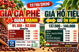 Giá cà phê, hồ tiêu hôm nay 17/10: Cà phê giảm sâu, thị trường thế giới bất ngờ bật tăng