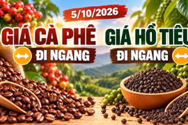 Giá cà phê, hồ tiêu hôm nay 5/10: Hai mặt hàng cùng đi ngang