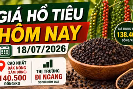 Giá hồ tiêu hôm nay 18/7: Thị trường đi ngang