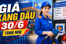 Giá xăng dầu hôm nay 30/6: Trong nước giữ mức thấp, dầu thế giới nhích tăng