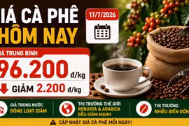 Giá cà phê hôm nay 17/7: Trong nước giảm mạnh, Robusta và Arabica cùng lao dốc
