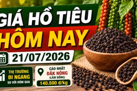 Giá hồ tiêu hôm nay 21/7: Thị trường tiếp tục đi ngang