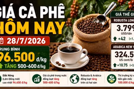 Giá cà phê hôm nay 28/7: Trong nước tăng, Robusta và Arabica cùng khởi sắc