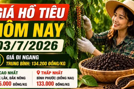 Giá hồ tiêu hôm nay 3/7: Thị trường đi ngang, cao nhất 135.000 đồng/kg