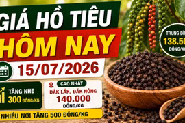 Giá hồ tiêu hôm nay 15/7: Nhiều nơi tăng 500 đồng/kg