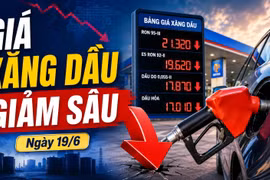 Giá xăng dầu hôm nay 19/6: Trong nước giảm sâu, dầu thế giới nhích tăng trở lại
