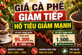 Giá cà phê, hồ tiêu hôm nay 28/8: Hai mặt hàng cùng giảm mạnh