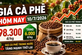 Giá cà phê hôm nay 10/7: Bật tăng mạnh lên 98.300 đồng/kg