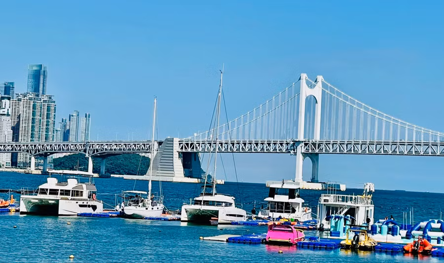 cau-treo-busan-289.jpg