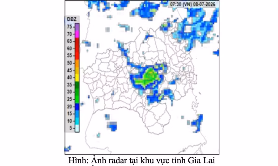 anh-man-hinh-2026-07-08-luc-081206.png